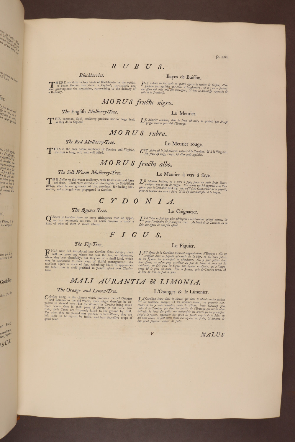 Page xxi
